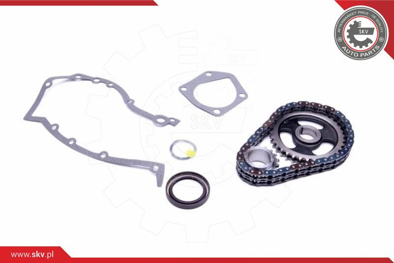 ESEN SKV Steuerkettensatz