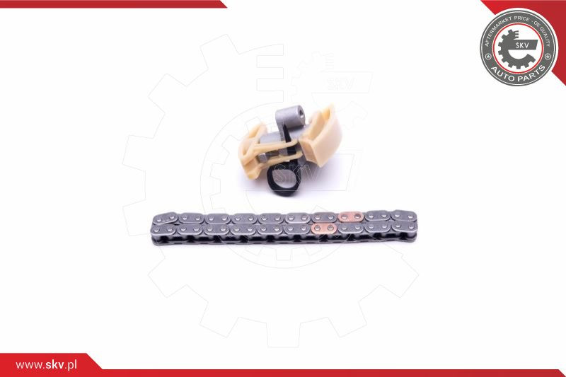 ESEN SKV Steuerkettensatz