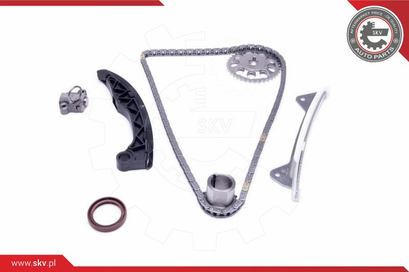 ESEN SKV Steuerkettensatz