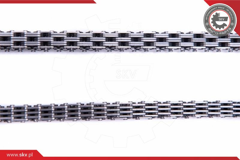 ESEN SKV Steuerkettensatz