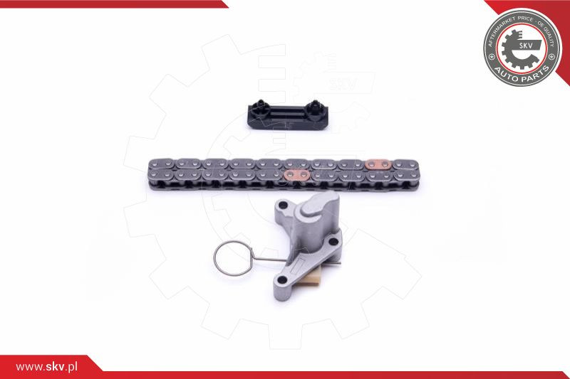 ESEN SKV Steuerkettensatz