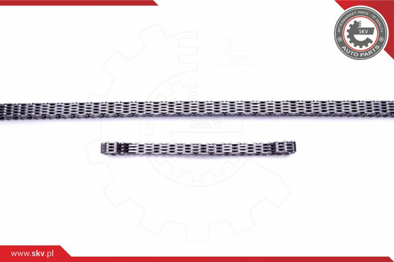 ESEN SKV Steuerkettensatz