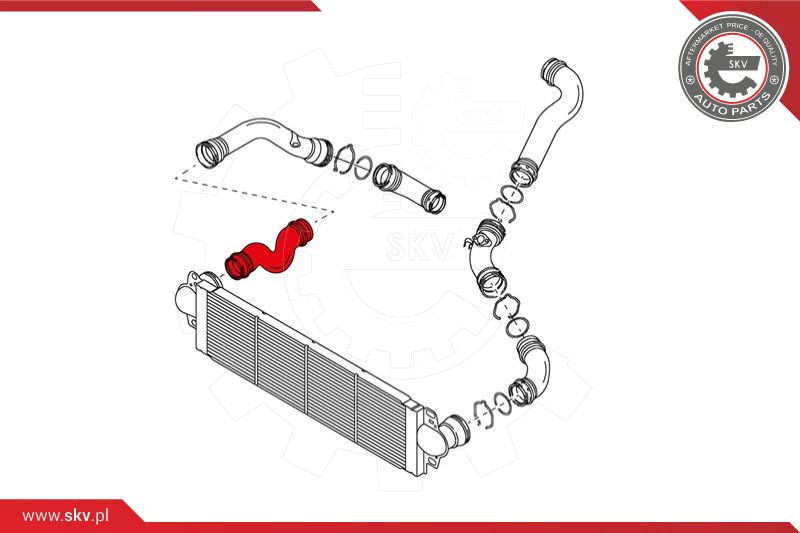 ESEN SKV Ladeluftschlauch