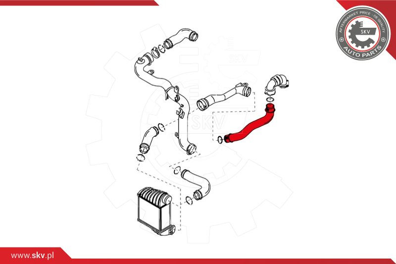 ESEN SKV Ladeluftschlauch