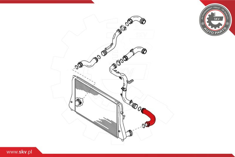 ESEN SKV Ladeluftschlauch