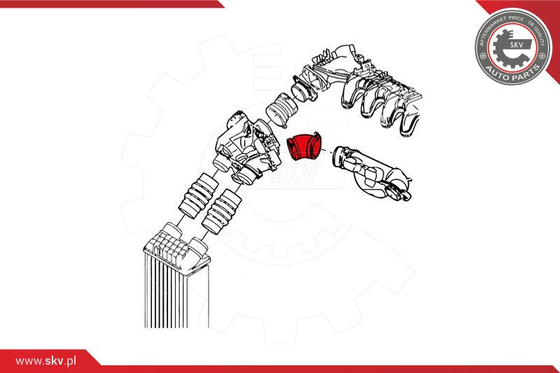 ESEN SKV Ladeluftschlauch