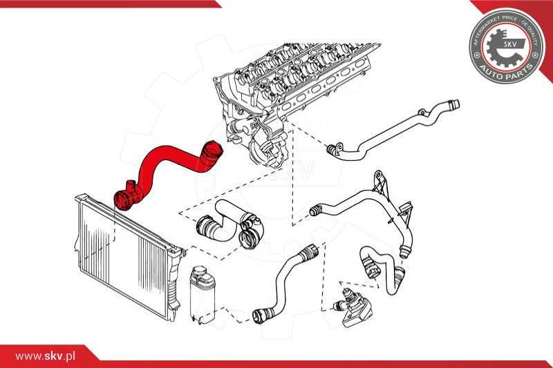 ESEN SKV Kühlerschlauch