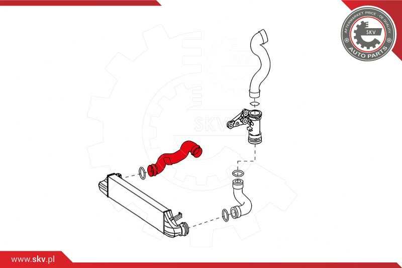 ESEN SKV Ladeluftschlauch