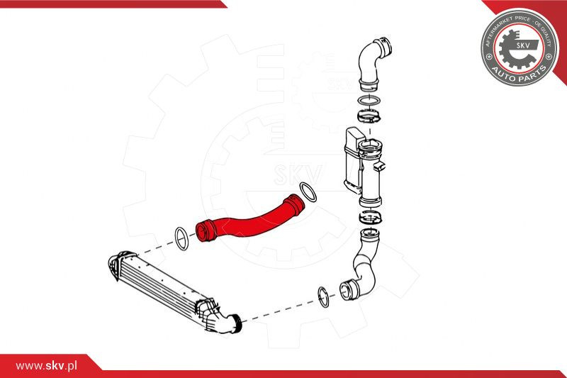 ESEN SKV Ladeluftschlauch