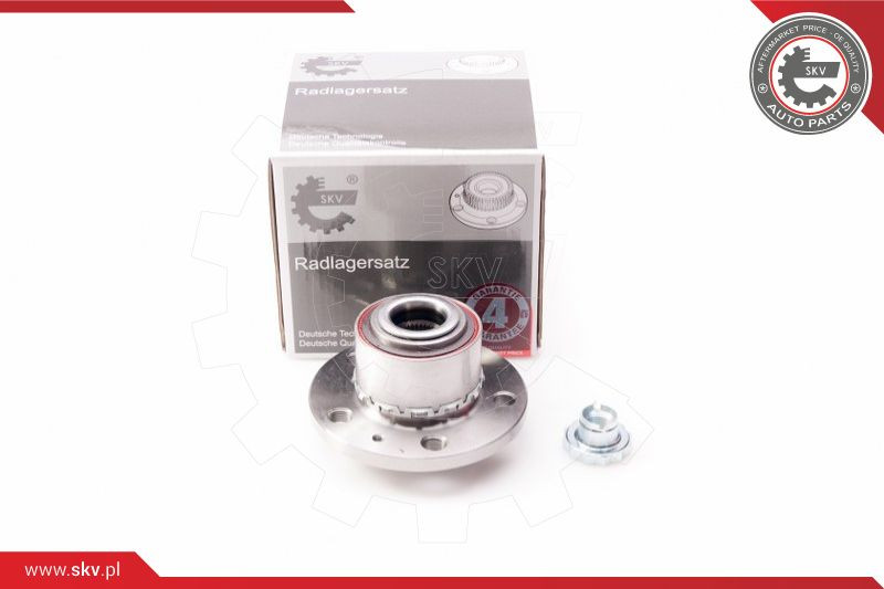 ESEN SKV Radlagersatz
