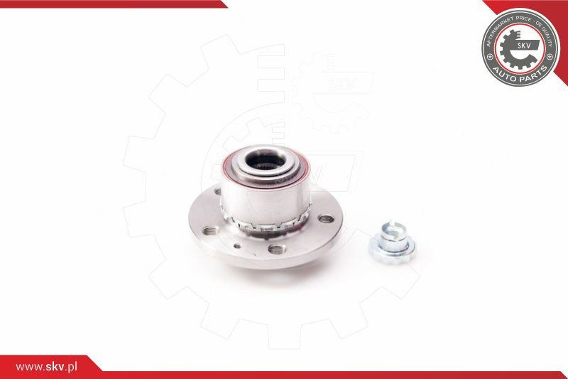 ESEN SKV Radlagersatz