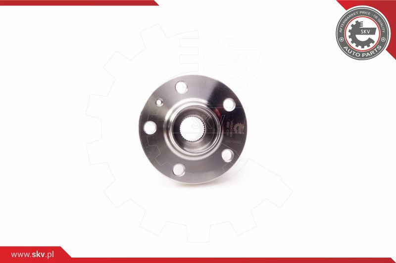 ESEN SKV Radlagersatz