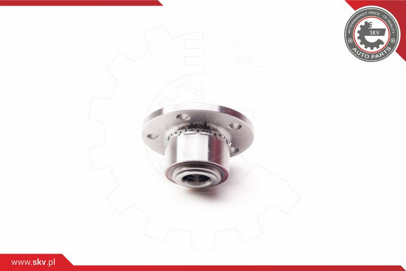 ESEN SKV Radlagersatz