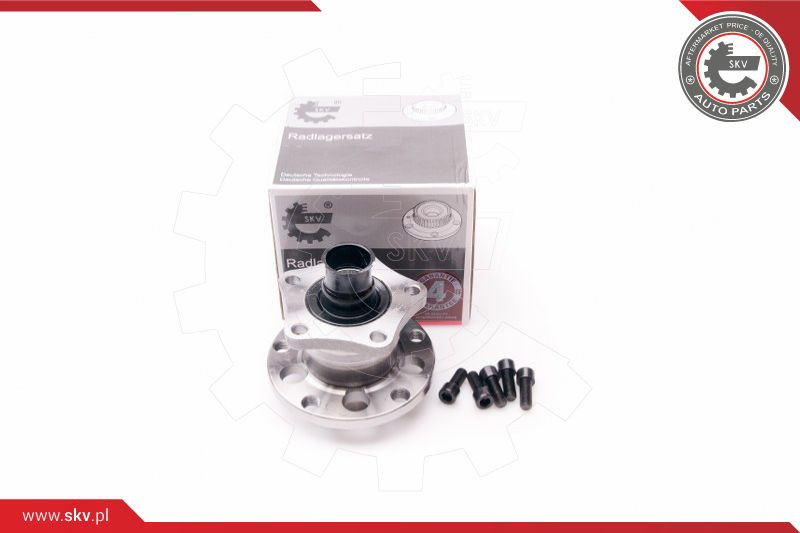 ESEN SKV Radlagersatz