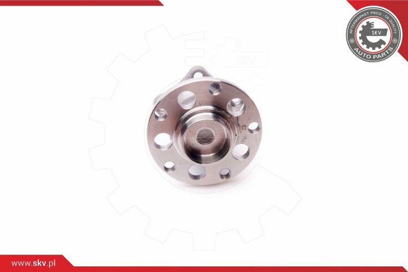 ESEN SKV Radlagersatz