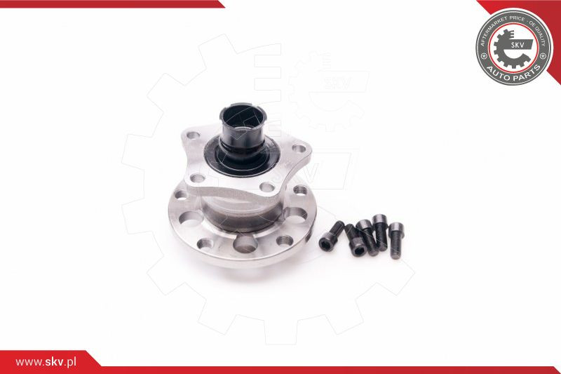 ESEN SKV Radlagersatz