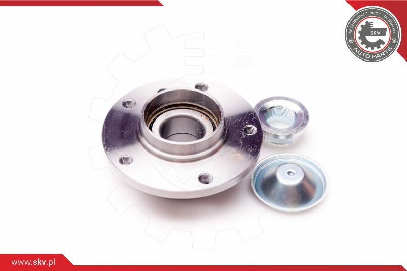 ESEN SKV Radlagersatz