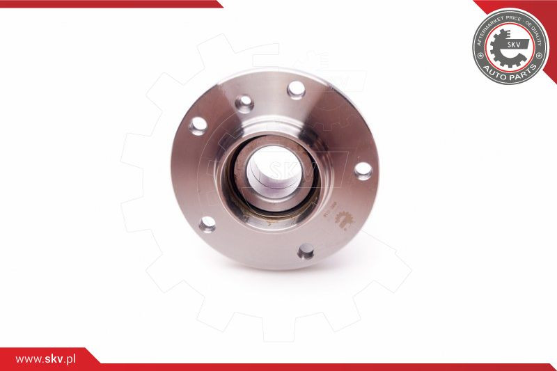 ESEN SKV Radlagersatz
