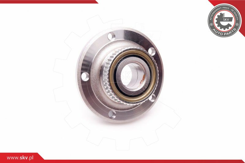 ESEN SKV Radlagersatz