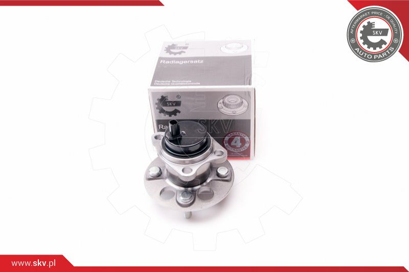 ESEN SKV Radlagersatz