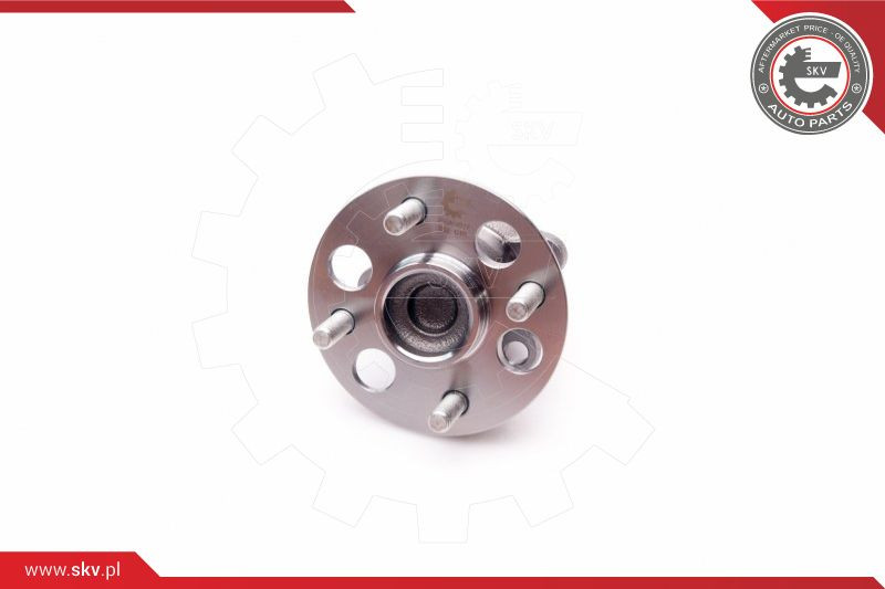 ESEN SKV Radlagersatz