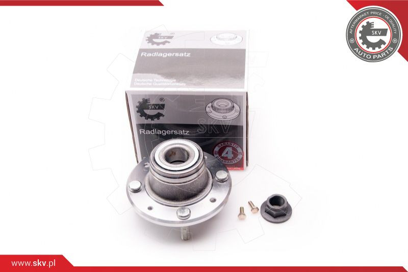 ESEN SKV Radlagersatz