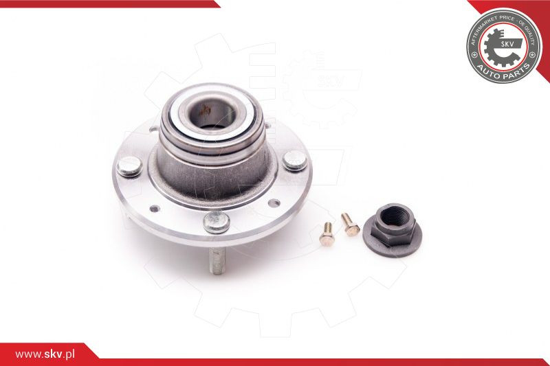 ESEN SKV Radlagersatz
