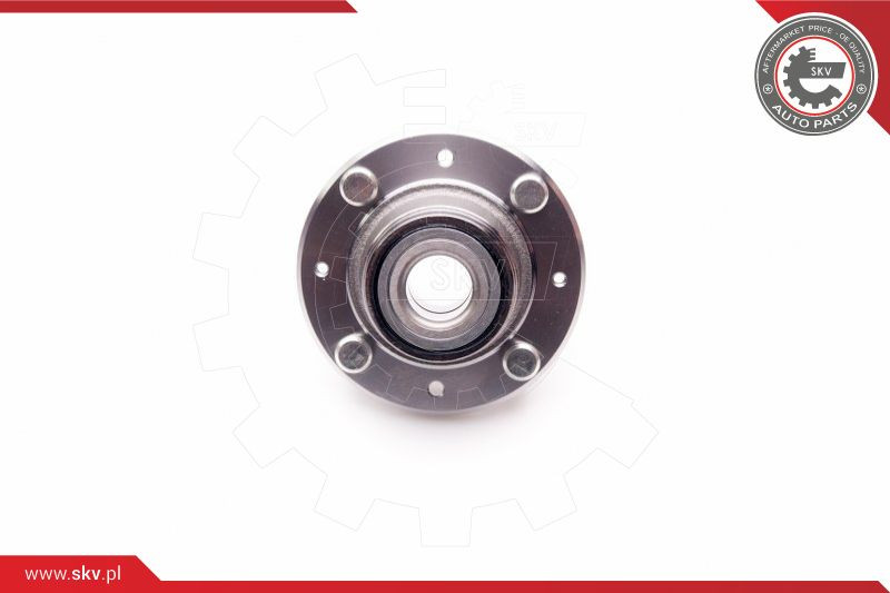 ESEN SKV Radlagersatz