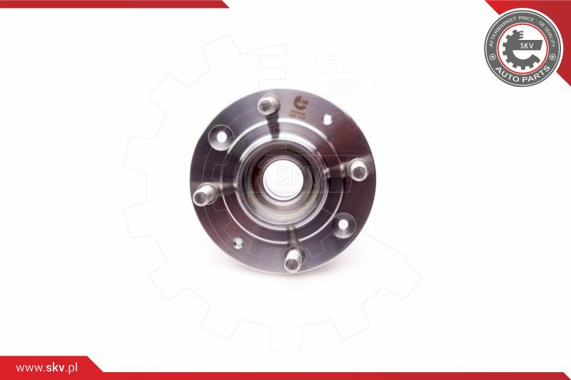 ESEN SKV Radlagersatz