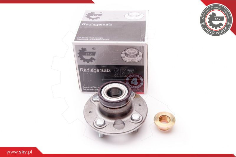 ESEN SKV Radlagersatz