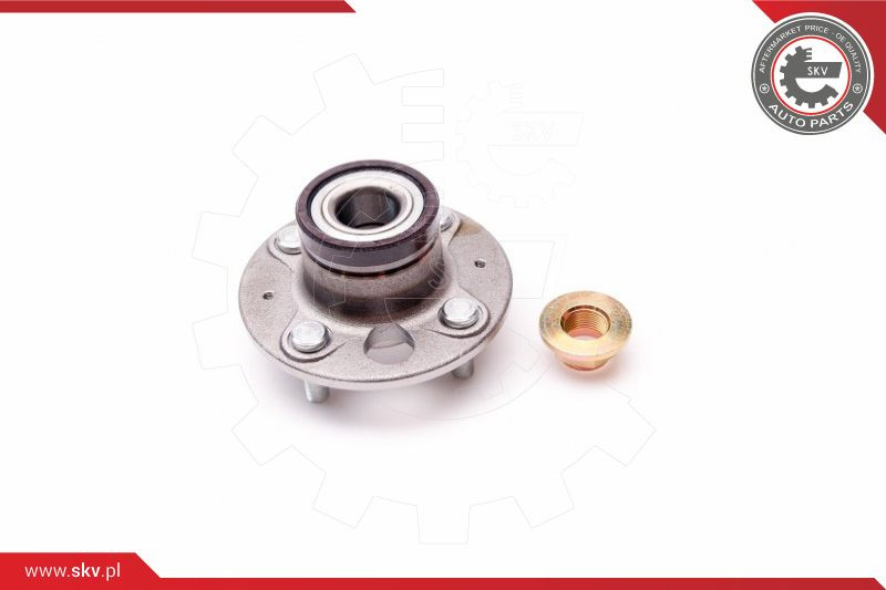 ESEN SKV Radlagersatz