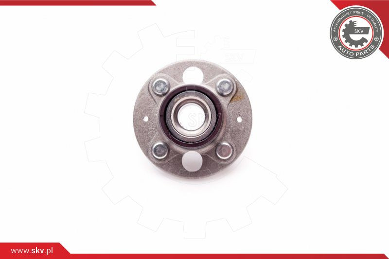ESEN SKV Radlagersatz