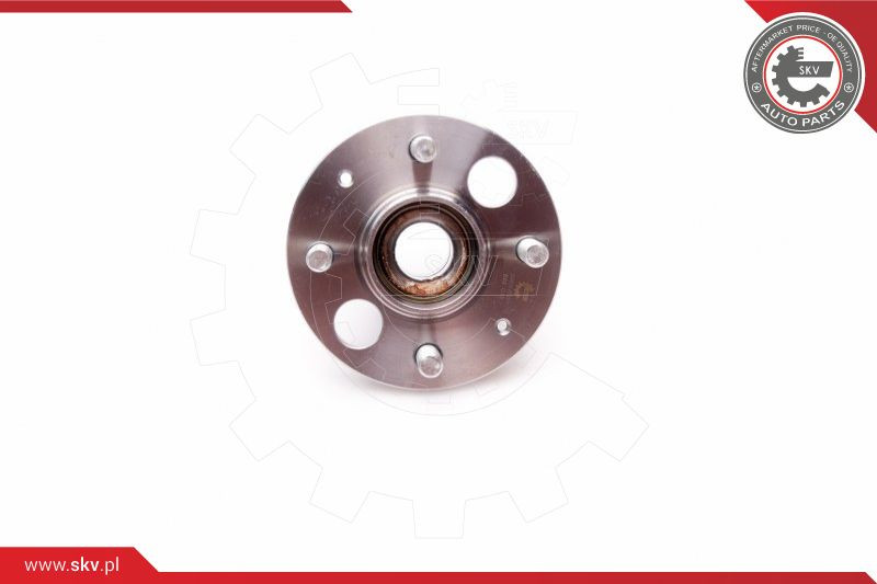 ESEN SKV Radlagersatz