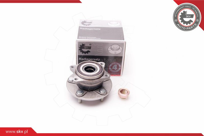 ESEN SKV Radlagersatz