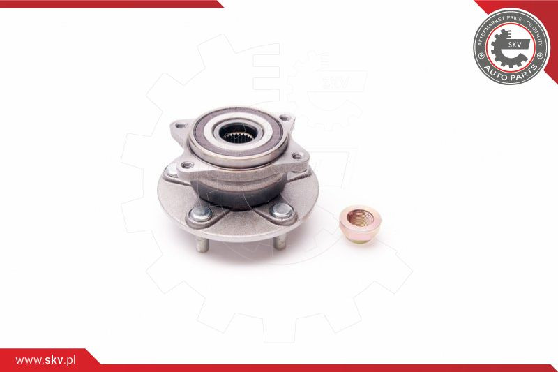 ESEN SKV Radlagersatz