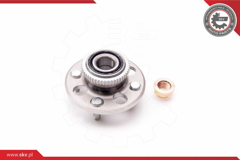 ESEN SKV Radlagersatz