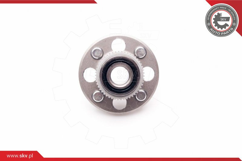 ESEN SKV Radlagersatz