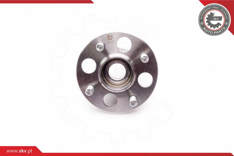 ESEN SKV Radlagersatz
