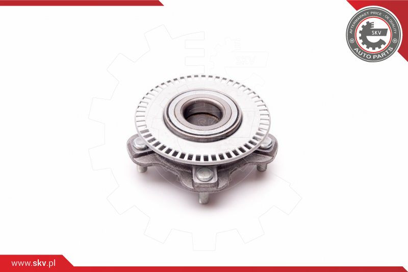 ESEN SKV Radlagersatz