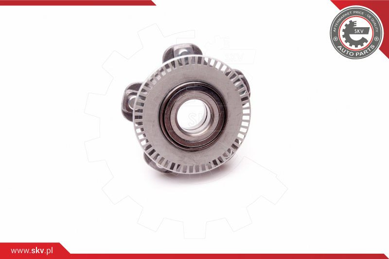 ESEN SKV Radlagersatz