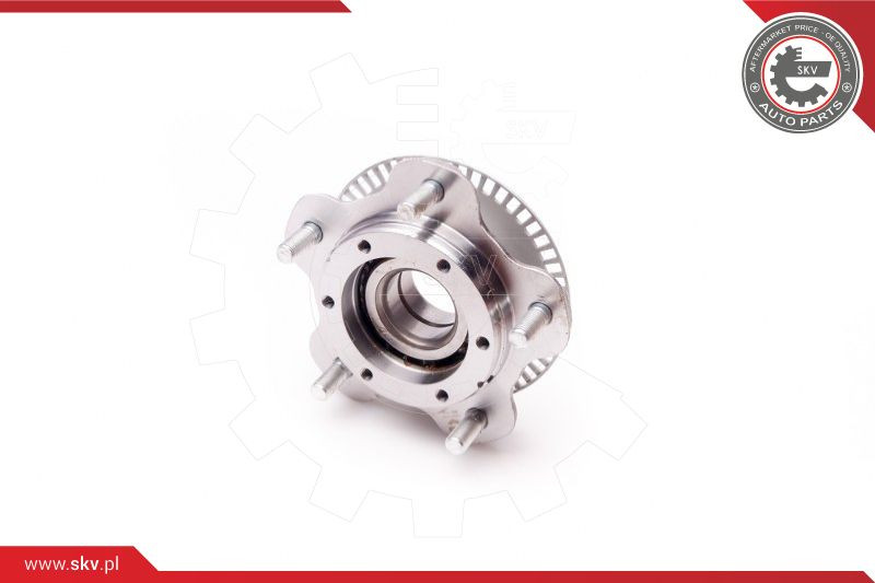 ESEN SKV Radlagersatz