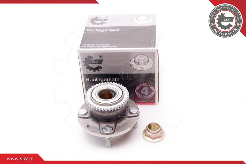 ESEN SKV Radlagersatz