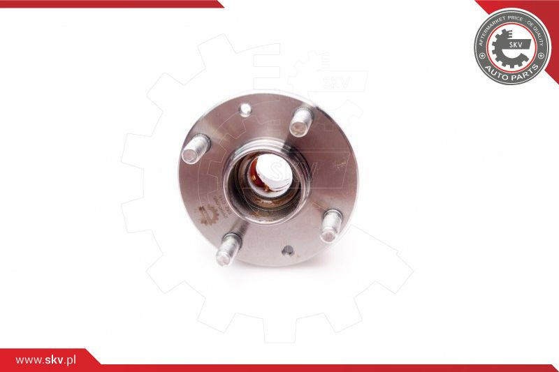 ESEN SKV Radlagersatz