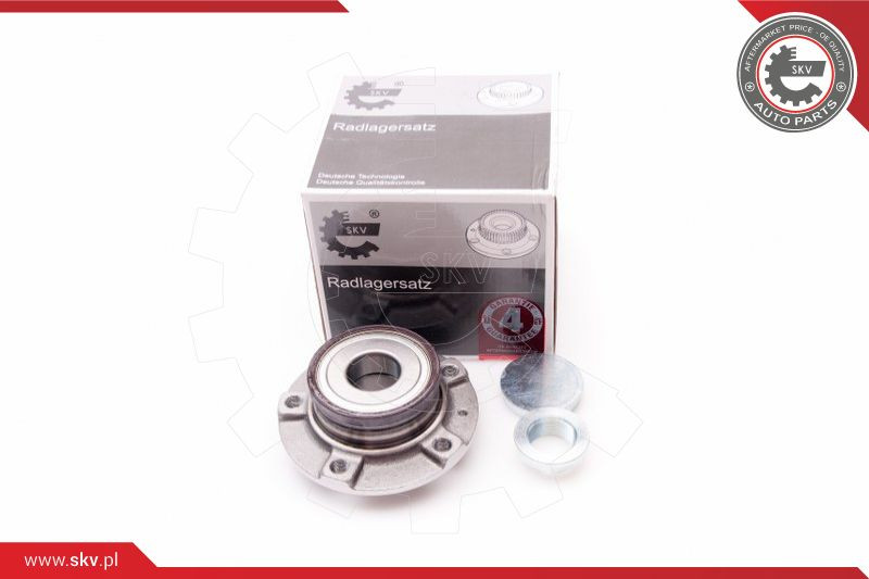 ESEN SKV Radlagersatz
