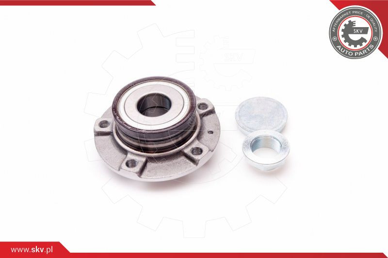 ESEN SKV Radlagersatz