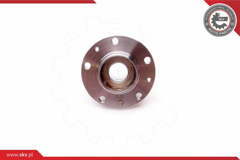 ESEN SKV Radlagersatz