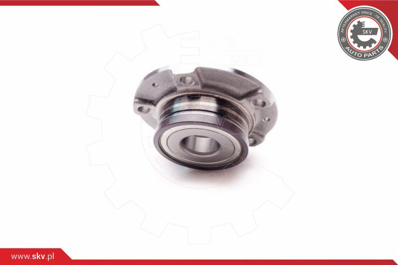 ESEN SKV Radlagersatz