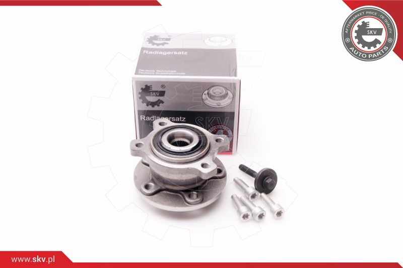 ESEN SKV Radlagersatz