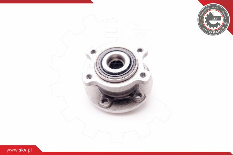 ESEN SKV Radlagersatz