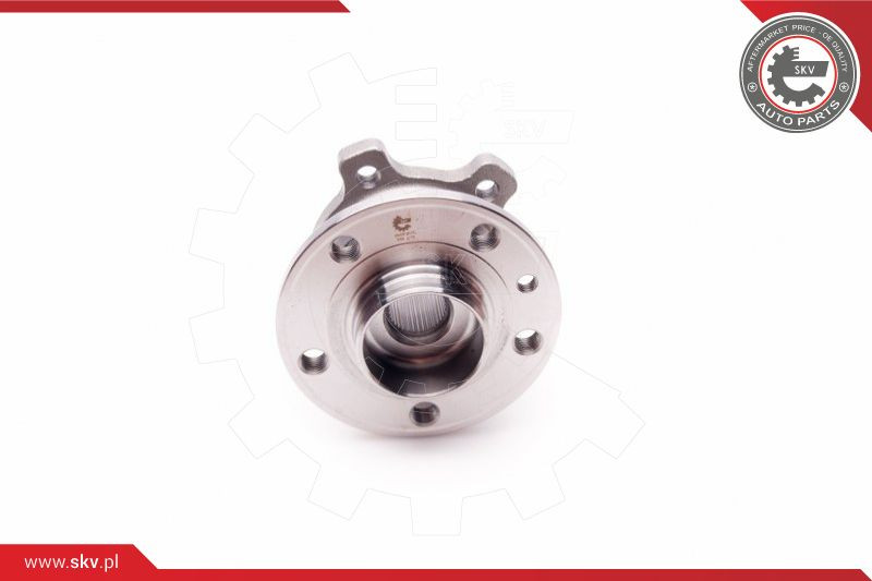 ESEN SKV Radlagersatz